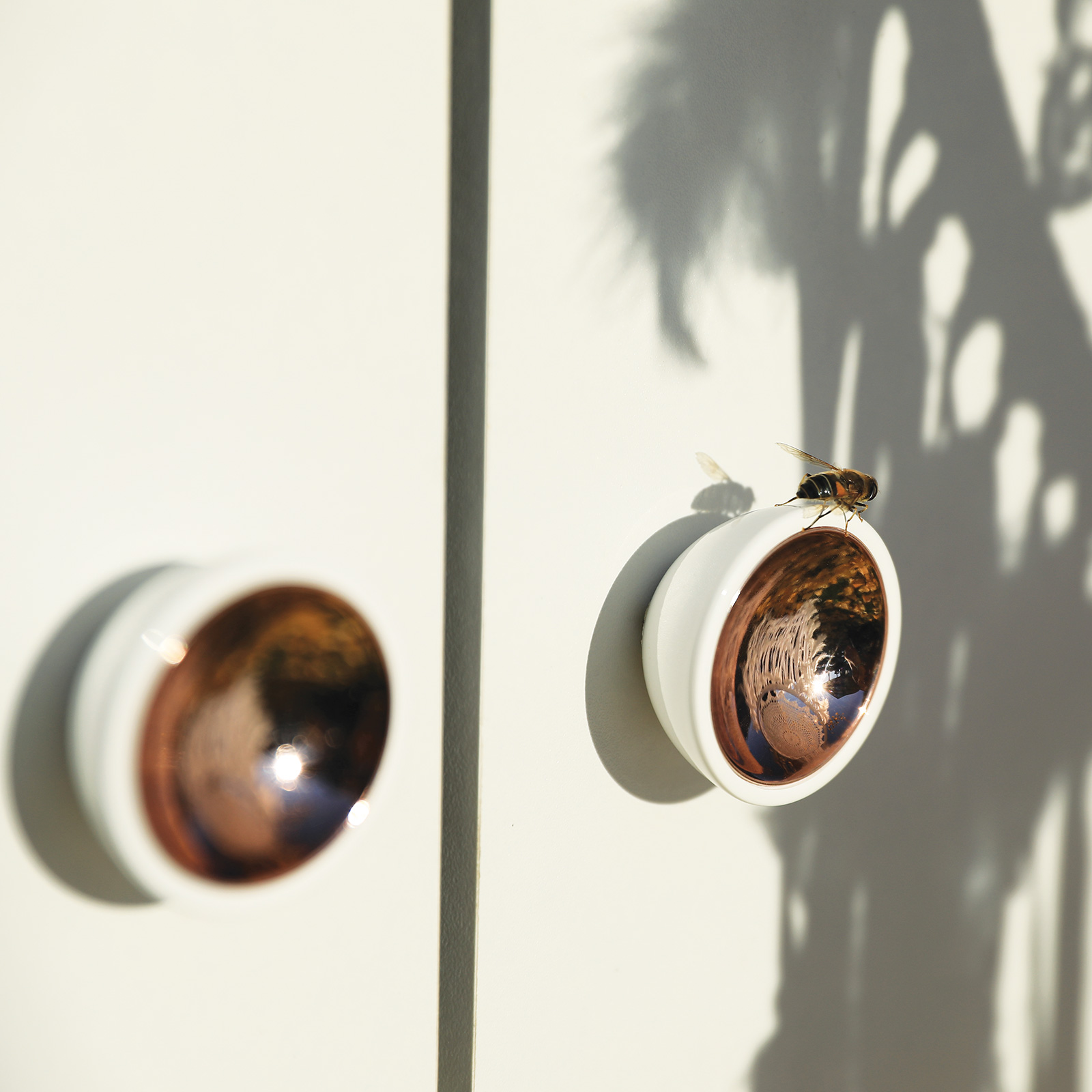 Coconut 8284-45 - Obraz 3